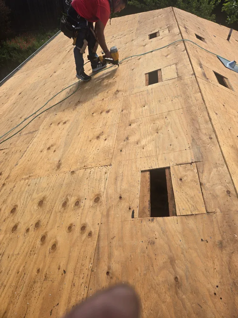 Roof sheathing repair with a replacement panel