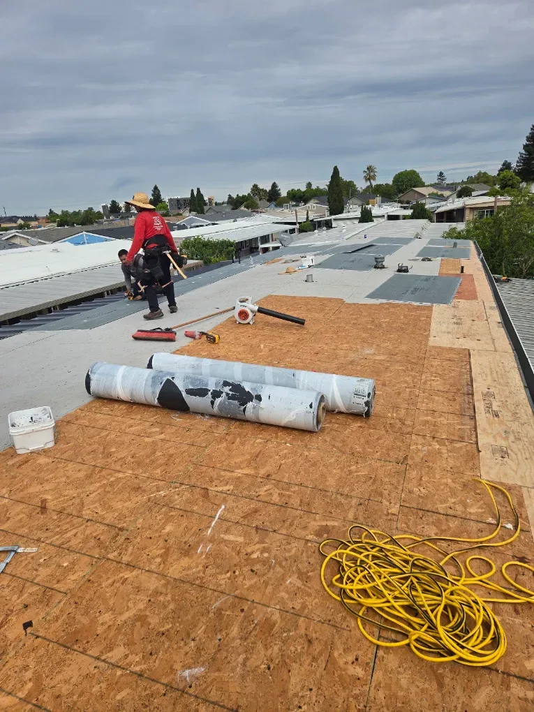 Crew installing a commercial roof over exposed decking